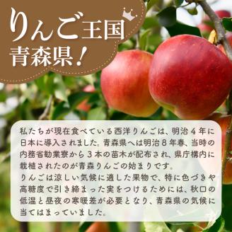 【2026年2月上旬発送】【訳あり】 りんご 5kg サンふじ 青森