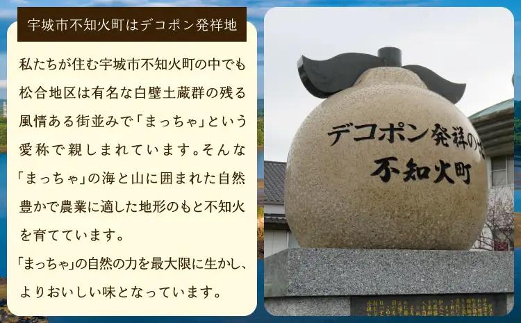 先行予約 不知火 訳あり約 9kg 約30〜40玉 雑誌MORE掲載 松川果樹園 2027年3月上旬から5月中旬発送予定