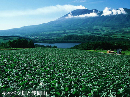 群馬県嬬恋村 ANAトラベラーズホテル割引クーポン 22,500点分