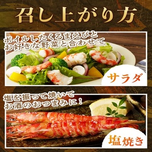 加熱用 活き〆冷凍福島くるまえび500g( 車エビ クルマエビ くるまえび えび エビ 海老 加熱用 )【B1-192】