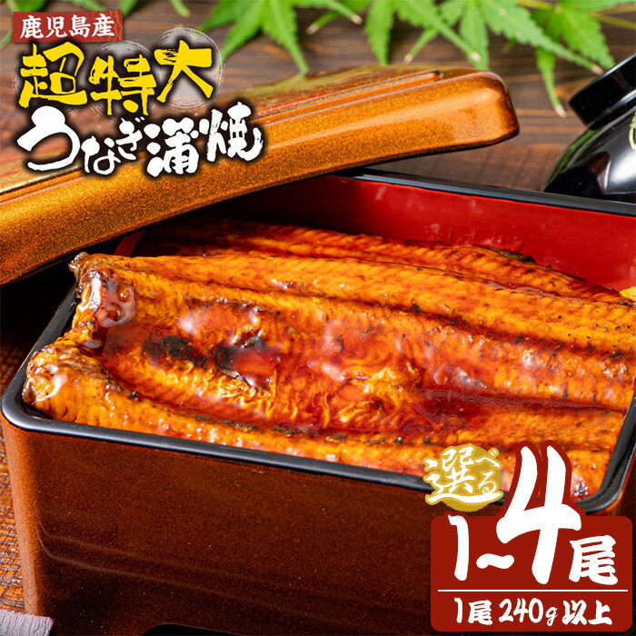 【ふるさと納税】＜内容量が選べる＞鹿児島産超特大うなぎ蒲焼(無頭) (計240～960g以上・240g以上×1〜4尾) 鰻 ウナギ 蒲焼き 養殖 たれ付 真空パック 湯煎 レンジ 簡単調理 国産 曽於市 鹿児島県【株式会社財宝】
