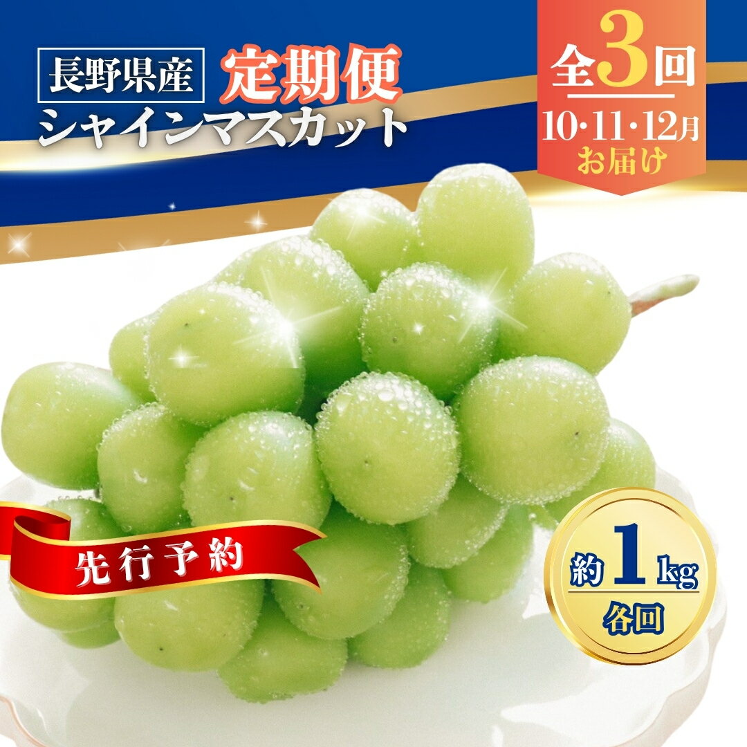 【ふるさと納税】【2025年先行予約】【定期便3回】シャインマスカット約1kg×3回(2025年10月/11月/12月発送)|葡萄 グレープ 果物 フルーツ シャインマスカット 1kg 信州ぶどう 信州葡萄 産地直送 種無し 皮ごと食べれる 白ぶどう マスカット 信州 長野 千曲市 送料無料