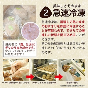 SA0875　もち米 玄米おにぎりセット　計20個(4種×各5個)