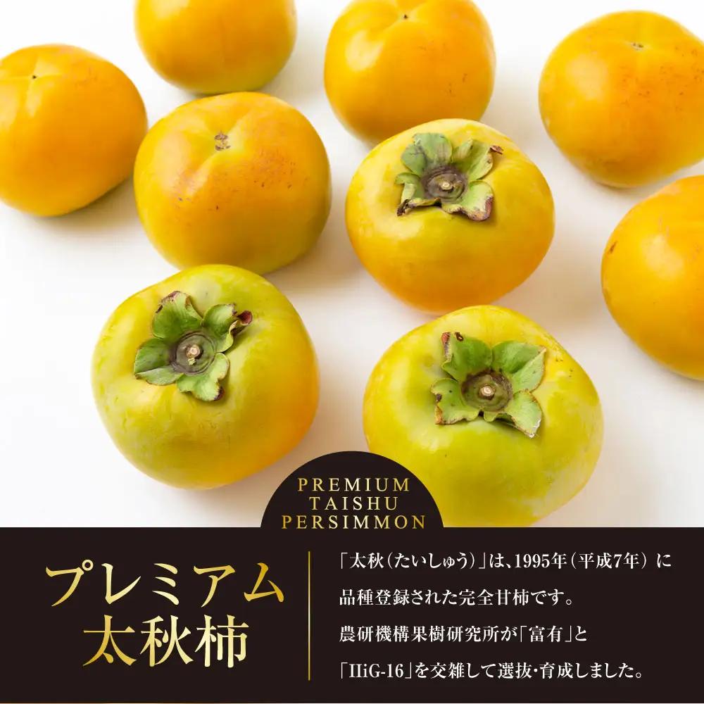 【先行予約】 原茂之巨峰園 プレミアム 太秋柿 大玉 8玉から9玉 （約3kg） 【2026年10月中旬から11月上旬 出荷予定】 柿 かき カキ 太秋 たいしゅう 完全甘柿 果物 くだもの フルーツ