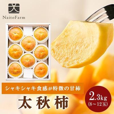 ふるさと納税 山梨市 やまなし内藤農園の太秋柿 2.3kg