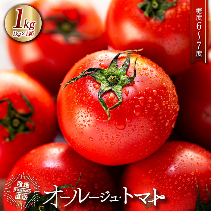 【ふるさと納税】トマト 長野 オールージュトマト 1kg 野菜 夏野菜 夏 旬 旬野菜 甘い 国産 ビタミン ミネラル 抗酸化 リコピン 美容 健康 フルーツトマト フルーツ 長野県産 長野県 箕輪町　お届け：2025年10月上旬～2026年3月中旬