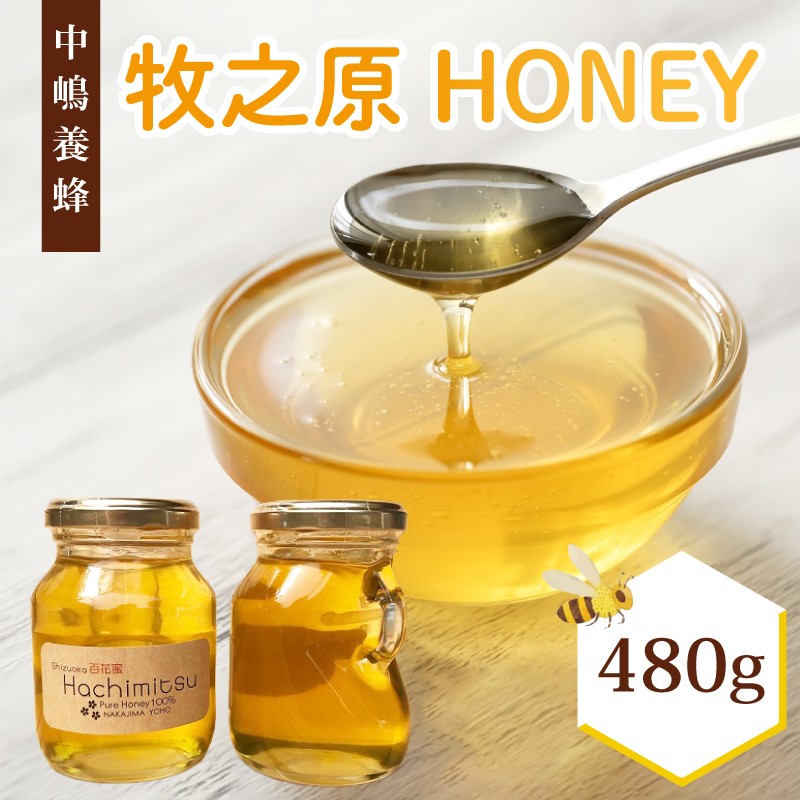 
            牧之原産はちみつ  はちみつ 蜂蜜 国産 240g × 2瓶 ハチミツ 蜂蜜 みかん 国産 ギフト 贈答品 高糖度 保存食 母の日 父の日 敬老の日 簡単 食卓 安心 安全 非加熱 蜜 天然 100% 濃厚 自然 酸味 フルーティー 贈答 プレゼント 食卓 純粋 はちみつ 生はちみつ 百花 はちみつ 天然 ハニー 瓶 美容 健康 パンケーキ 菓子  防災 国産 静岡県 牧之原市 中嶋養蜂園
          