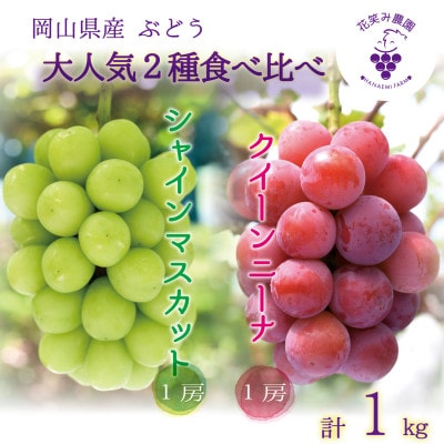 【2026年先行受付】岡山　花笑み農園の『クイーンニーナ&シャインマスカット』1kg(2房)QS-1【配送不可地域：離島・北海道・沖縄県】【1627772】