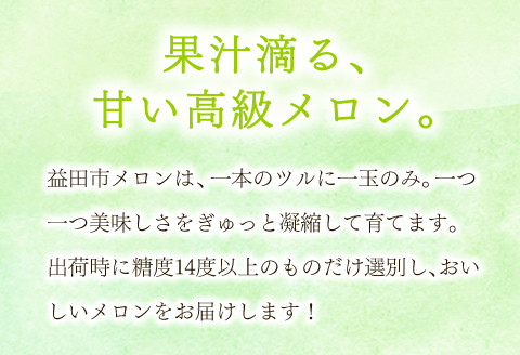 益田の生産者のこだわり1つのツルに1個の実しかつけないようにして管理を徹底しています
