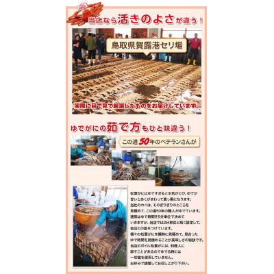 ふるさと納税 若桜町 【先行予約】鳥取県産　訳あり浜茹で松葉がに　2〜3枚で1.2kg以上(1〜4本足落ち) |  | 02