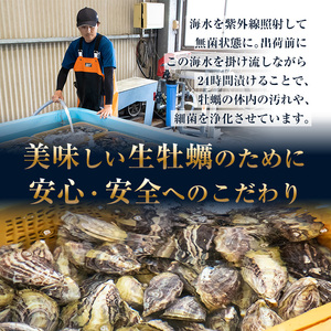 ひとくち 真牡蠣 (20個入) 真牡蠣 生がき 生牡蠣 かき 殻付き 貝 かい 一口サイズ 大分 佐伯 国産 ご当地 お取り寄せ グルメ 【GB001】【(株)海生】