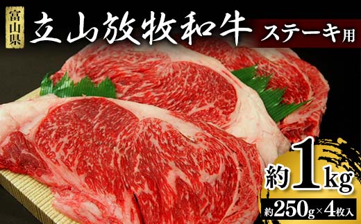 立山放牧和牛 ステーキ用 1箱 約250g×4枚入 K・MEAT ステーキ肉 ステーキ 和牛 牛肉 国産牛 放牧 牛 肉 富山県 立山町 F6T-027