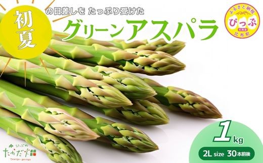 
                  【2026年6月中旬から発送】比布町産 グリーンアスパラ 2Lサイズ 1kg（30本前後）【たかだ畑】アスパラ 野菜 新鮮 緑黄色野菜 国産 北海道産 産地直送 北海道 比布町 ぴっぷ 1018-018
                