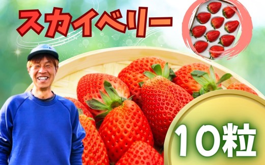 いちご【先行予約】【2027年1月以降発送】スカイベリー 大粒 10粒【栃木県 真岡市産】いちご 果物 イチゴ 苺 旬 産地直送 国産