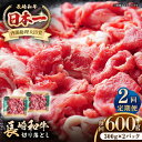 【ふるさと納税】【全2回定期便】長崎和牛 切り落とし 600g（300g×2パック）《壱岐市》【長崎フードサービス】 肉 牛肉 赤身 小分け 国産 切落し 切り落し 冷凍配送[JEP023]