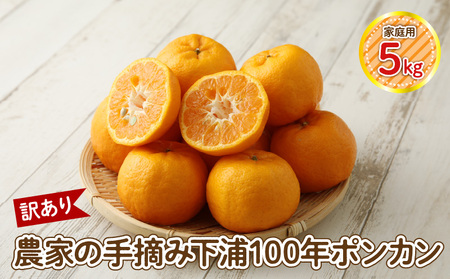 S040-029_【訳あり】農家の手摘み　下浦100年ポンカン　家庭用　5kg