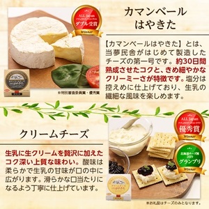 高評価! ナチュラルチーズコンテスト受賞! 夢民舎ブランド はやきたチーズ色々詰合せセット【配送不可地域：離島】【1001151】