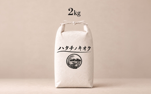 【 12回定期便 】 熊本市産 ヒノヒカリ 白米 2kg ( 約13合 ） ｜ ハタチノキオク 12回 お米 米 白飯 ご飯 おにぎり 和食 国産 熊本県産 ブランド米 定期 定期配送