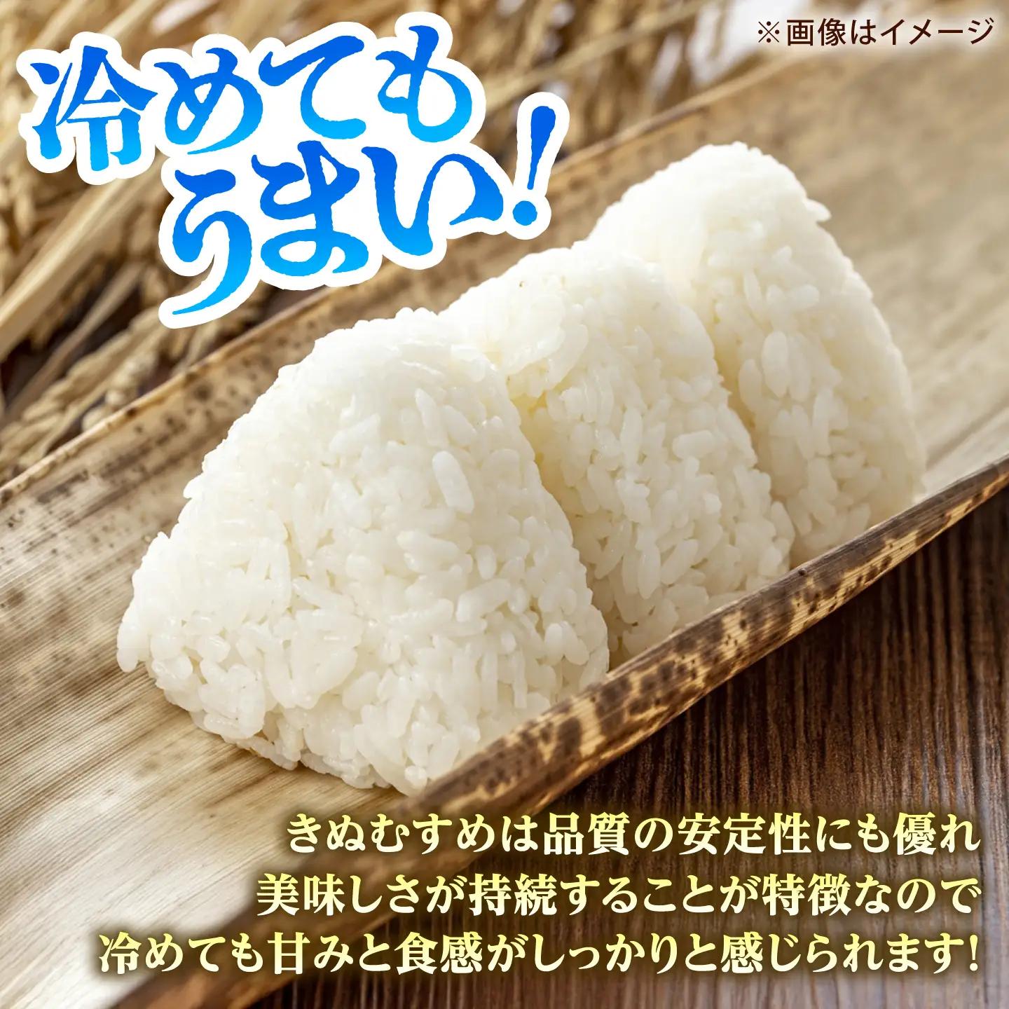 【全3回定期便】雲南市産きぬむすめ 2kg [AIDB101] きぬむすめ 