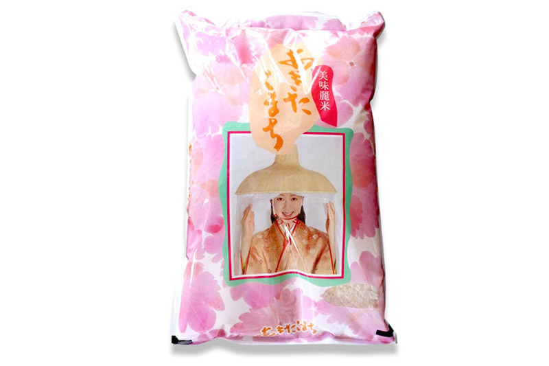 《令和7年産》【玄米】10kg あきたこまち 秋田県産 茂木農園のあきたこまち 玄米 10kg