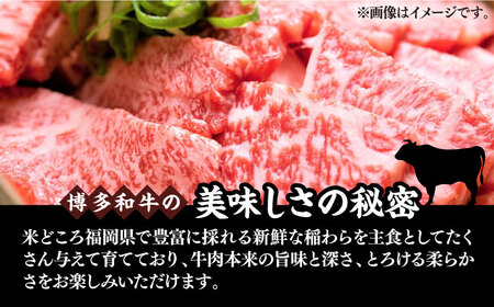 【訳あり】博多和牛 焼肉 切り落とし 500g[VBB044]焼肉 牛肉