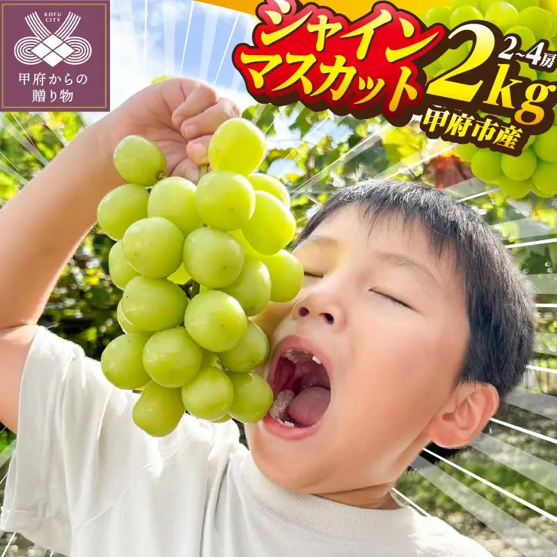 〈2026年度配送分〉山梨県甲府市産シャインマスカット2kg(2房～4房)C