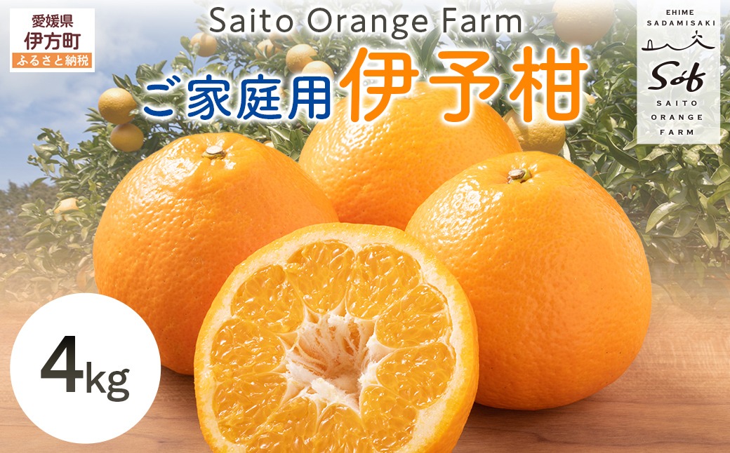 【先行予約】Saito Orange Farm ご家庭用 伊予柑4kg （2027年1月中旬頃より順次発送予定）IKTAQ027