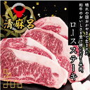 【ふるさと納税】牛肉　ロース　ステーキ　清麻呂牛ロースステーキセット540g(180g×3枚）　BS-1　※北海道への配送不可