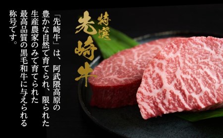 肉 黒毛和牛 先崎牛 サーロインステーキ 200g×2枚 福島県 田村市