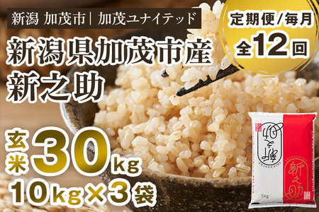 【令和7年産・令和8年産新米先行予約可】【12ヶ月定期便】新潟県産 新之助 玄米30kg（10kg×3袋） 《令和7年産：順次出荷・令和8年産新米：2026年10月から出荷》 加茂ユナイテッド