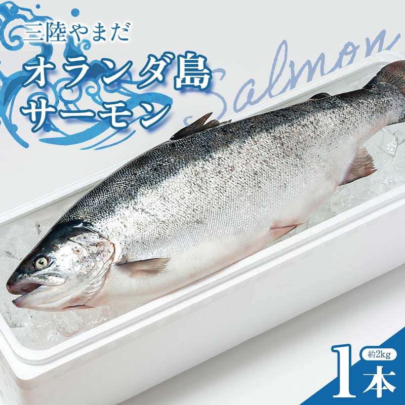【ふるさと納税】≪発送期間5月～7月≫三陸やまだオランダ島サーモン×1本（約2kg）【三陸やまだ漁協】【月曜日発送】【沖縄・離島配送不可】三陸山田 山田町 山田湾 山田産 トラウトサーモン 鮭 養殖 刺身 カルパッチョ 生食 SM001-r9