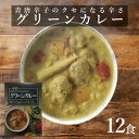 【ふるさと納税】南部どり使用　グリーンカレーレトルト12食セット【1394532】