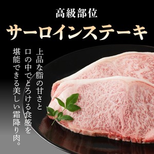 宮崎牛 サーロインステーキ600g N0140-YB727
