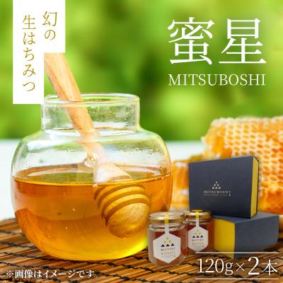 ふるさと納税 伯耆町 【蜜星】幻の生はちみつ(120g×2本)