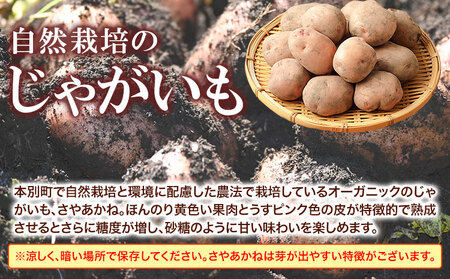 じゃがいも 北海道十勝 オーガニック じゃがいも 7kg サイズ S-2L《11月下旬-3月中旬頃より順次出荷》 オフイビラ源吾農場 送料無料 北海道 本別町 さやあかね 負箙源吾農場