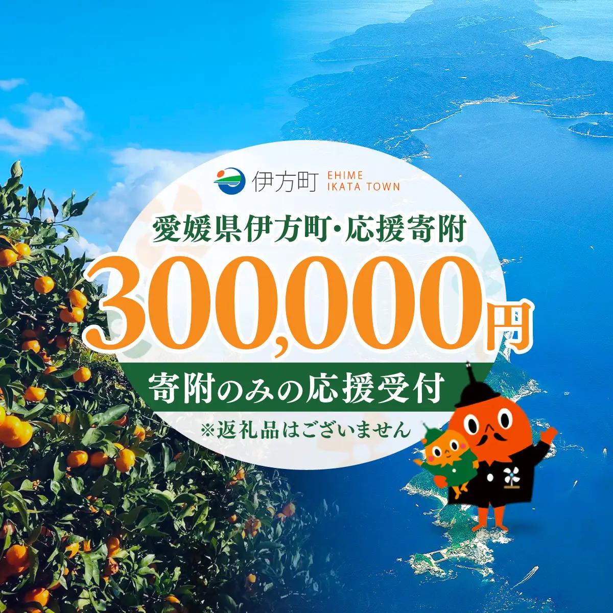 【返礼品なし】愛媛県伊方町・応援寄附300,000円（寄附のみの応援受付 ※返礼品はございません） 【ふるさと納税 人気 おすすめ ランキング 応援寄附 返礼品なし 愛媛県 伊方町 送料無料】 IKTBG007