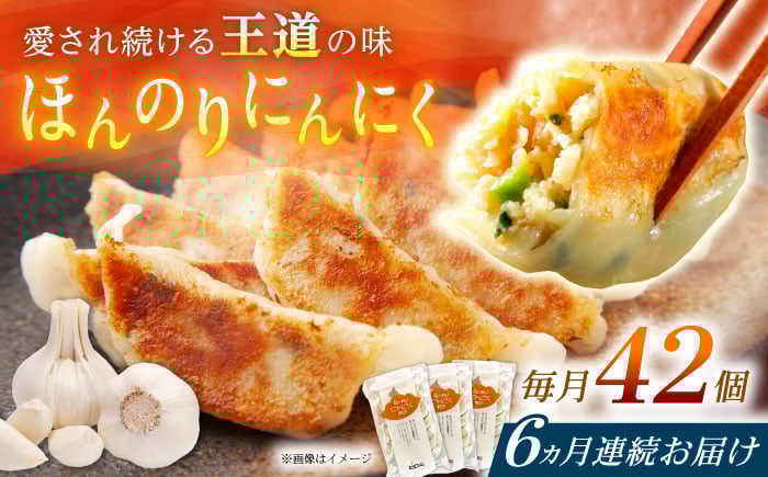 
            【全6回定期便】【3パック】餃子屋ヒロの ほんのりにんにく餃子【餃子屋ヒロ】開成町 餃子 点心 惣菜 冷凍 [BDAS014]
          