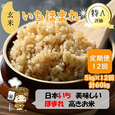 ふるさと納税 あわら市 【毎月定期便】いちほまれ 玄米 5kg全12回