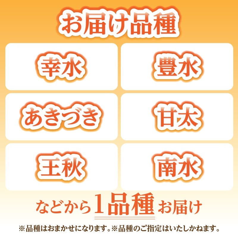 《先行受付》★山形産和梨（品種お任せ）★約3kg(6～12玉程度)秀品【2026年9月頃～順次発送予定】