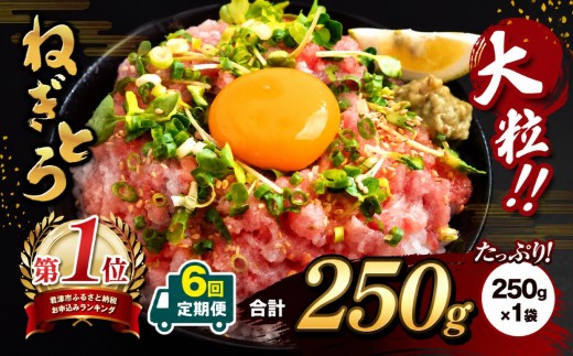 【 定期便 6ヶ月 】【 簡易包装 】ネギトロ 250g パック × １袋 まぐろ ねぎとろ スピード発送 選べる ねぎとろ 小分け 手詰め | 清幸丸水産 マグロ たたき タタキ 鮪 海鮮 ユッケ 海鮮丼 冷凍 手巻き 高評価 送料無料 千葉県 君津 きみつ