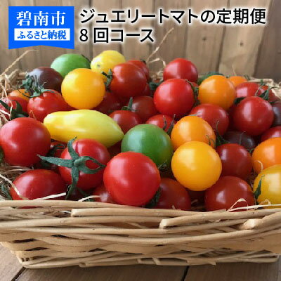 【ふるさと納税】先行受付 フルーツミニトマト ジュエリートマト 定期便 約1.6kg×8回 甘い 濃厚 こだわり トマト 本来 味わい ミニトマト レッド オレンジ グリーン イエロー ピンク ブラック 色とりどり 宝石箱 フルーツ 果物 野菜 食べ物 食品 愛知県 碧南市 送料無料