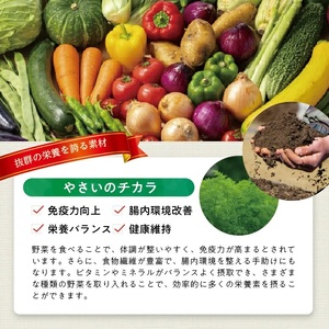 1185AL1200G　冷凍野菜ペーストアラカルト1.2kg(100g6種×各2袋)