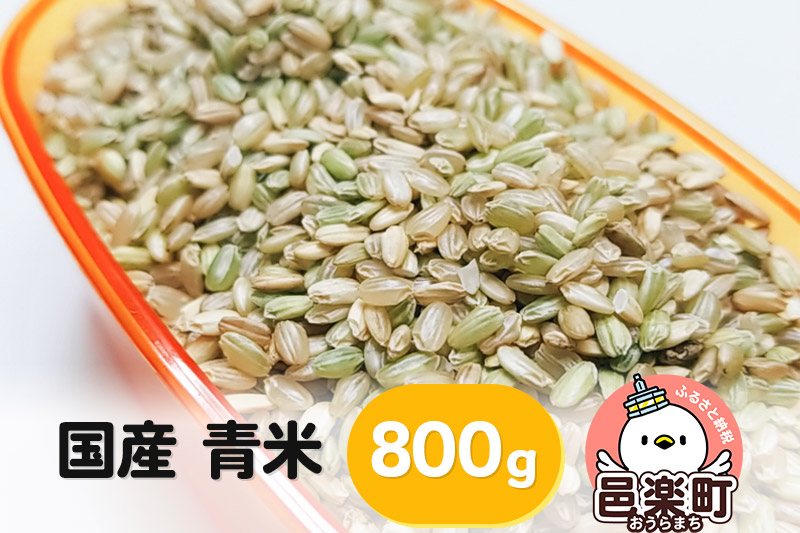 
【国産】青米 800g×1袋 サイトウ・コーポレーション 飼料
