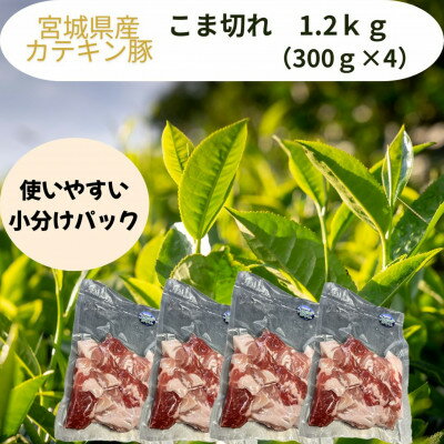 【ふるさと納税】宮城県産【カテキン豚】豚こま切れ　1.2kg(300g×4パック)【配送不可地域：離島】【1614341】