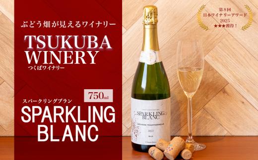 スパークリングワイン SPARKLING BLANC （ スパークリングブラン ）1本 750ml 日本ワイン つくばワイナリー │ 国産ワイン ワイン お酒 葡萄 ぶどう ブドウ ワイナリー ワイン wine わいん 葡萄酒 アルコール 贈答 ギフト プレゼント 茨城県 つくば市