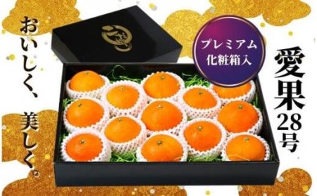 プレミアム 愛果28号 (紅まどんな と同品種) 化粧箱入 【2026年12月頃から順次発送】 【PT003_x】