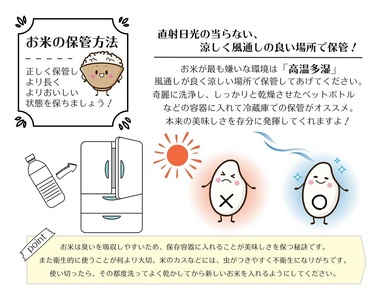 熊本県産 森のくまさん 白米 10kg | 小分け 5kg × 2袋  熊本県産 こめ 米 白米 ごはん 銘柄米 ブランド米 単一米 人気 日本遺産 菊池川流域 こめ作り ごはん ふるさと納税 返礼品