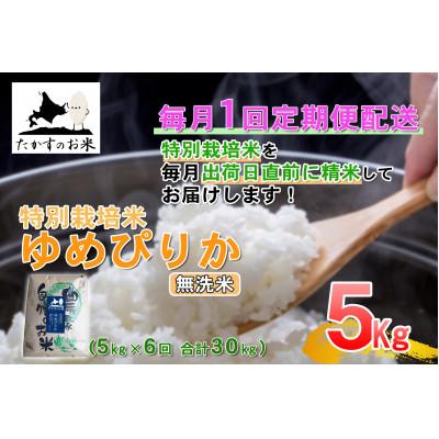 ふるさと納税 鷹栖町 【毎月定期便】たかすのお米「特別栽培米 ゆめぴりか」5kg(無洗米)全6回