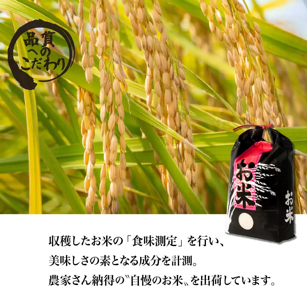 精米 10kg 令和7年産 コシヒカリ 茨城県 下妻市産