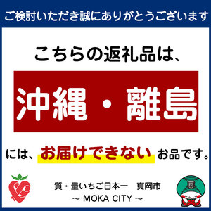 【定期便12回】遊びにおいでよもおか！真岡市オリジナルBOXティッシュ5箱（1箱300枚150組）